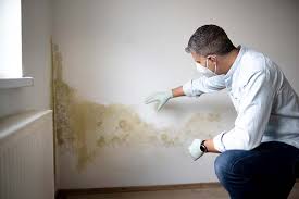 Best Mold Documentation for Insurance Claims  in Lorenzo, TX